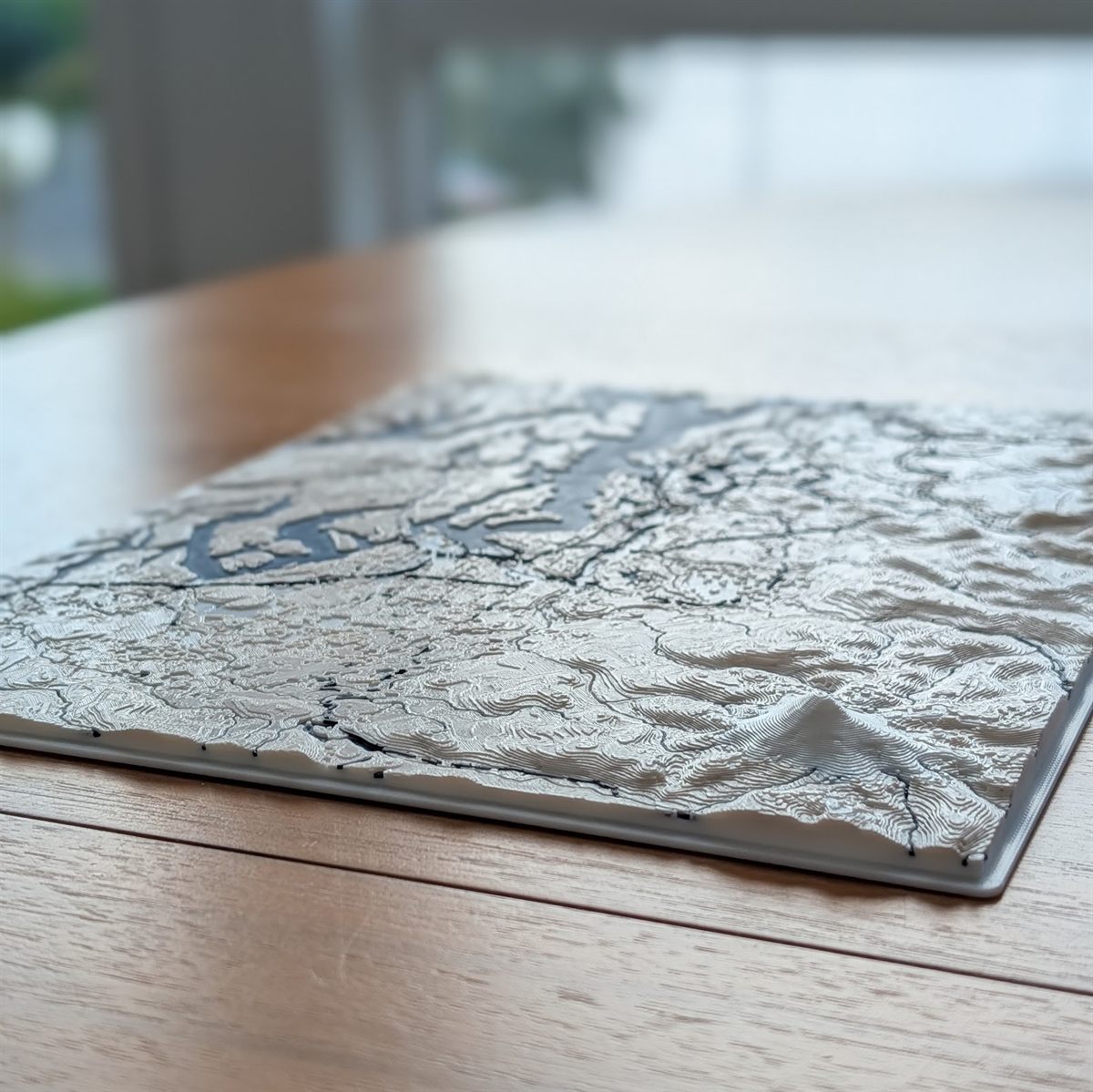 Puget Sound 3D topographic relief map